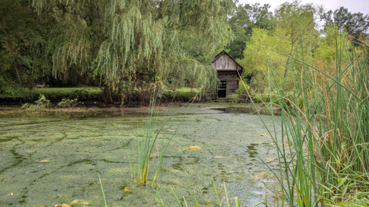 Tipton Haynes Historical Site